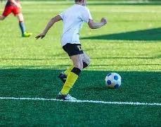 视频丨蓉城,亚冠主场巨,覆盖,1xbet官网,1xbet体育官方网站,1xbet官网入口,1xbet体育官网