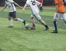 国王萨博尼,斯左膝半月,板损伤,1xbet官网,1xbet体育官方网站,1xbet官网入口,1xbet体育官网