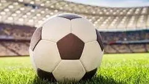 1xbet体育官网 产品 140330 xlm