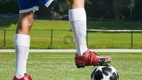 1xbet体育官网 产品 105446 fyw